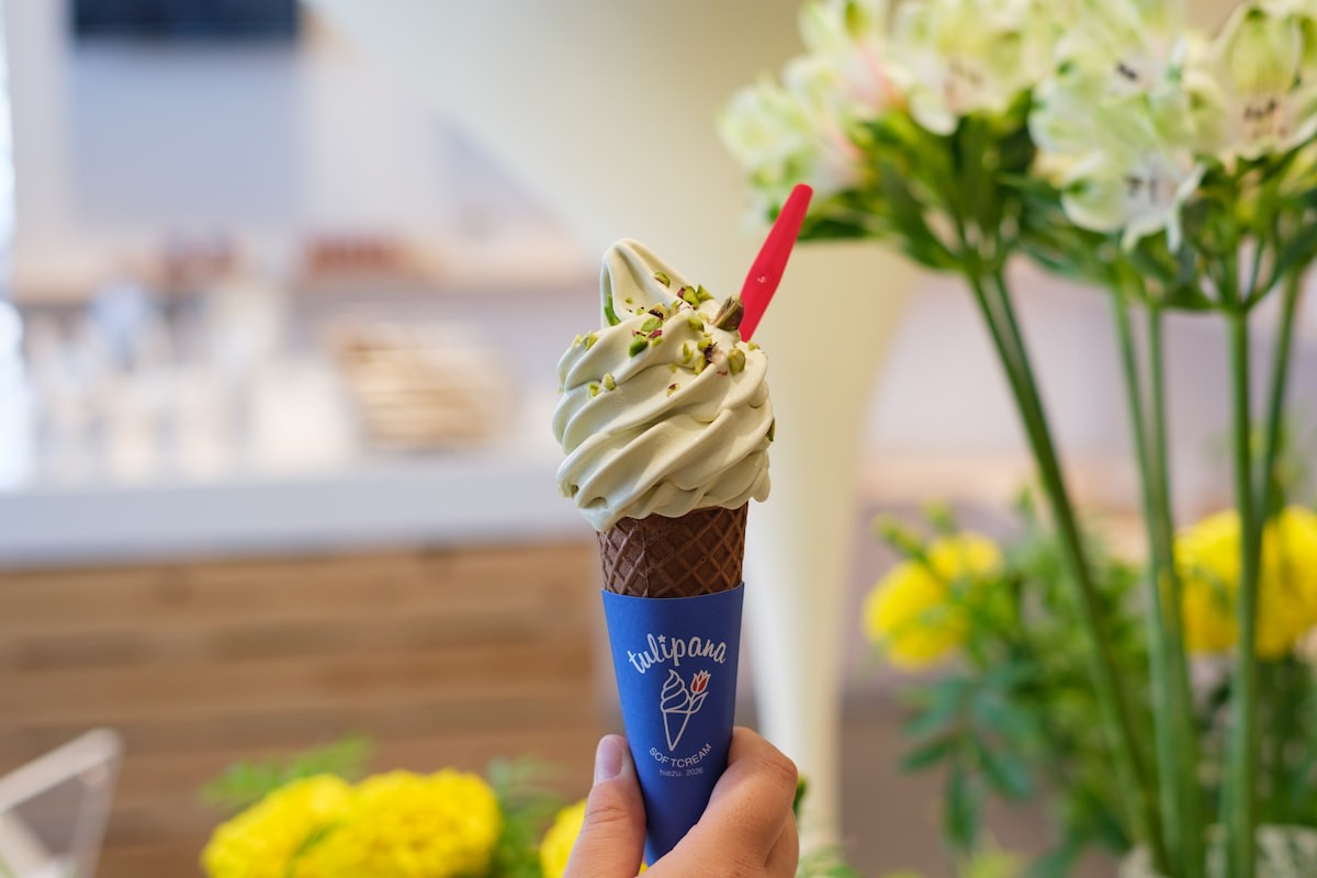 鳥取県日吉津村のソフトクリーム専門店『tulipana』の「ピスタチオソフト」