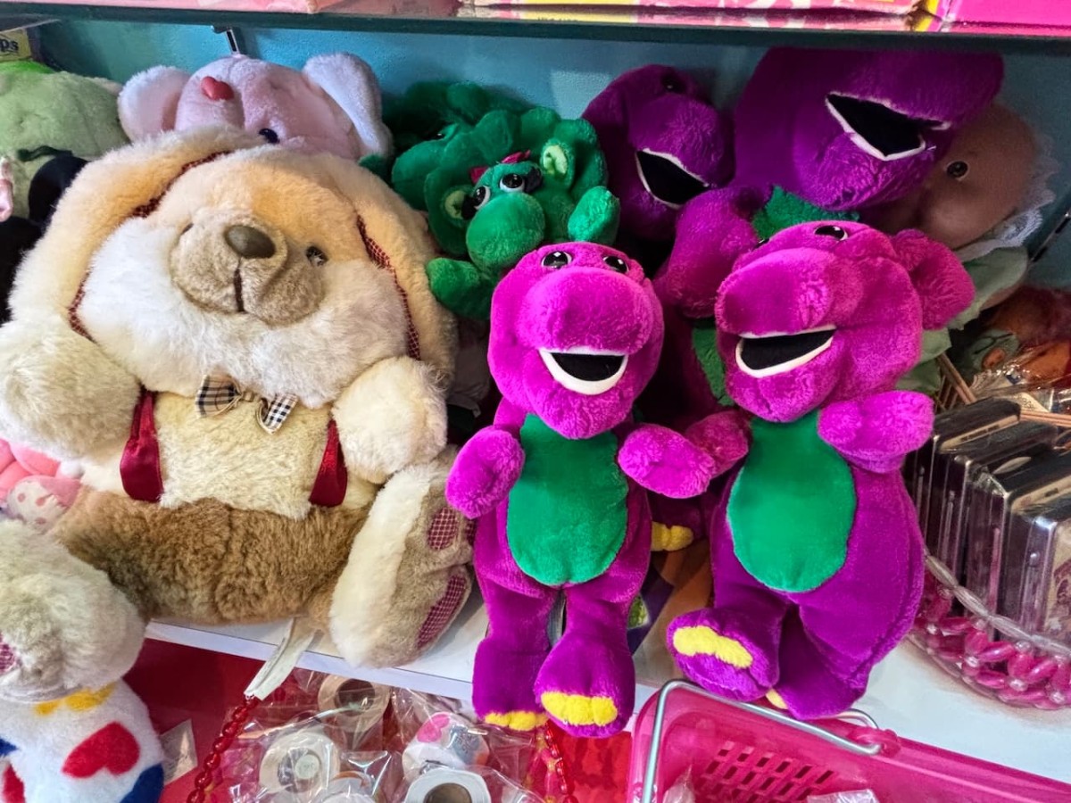 島根県出雲市塩冶町にある雑貨店『bear bunny』の恐竜と犬のぬいぐるみ