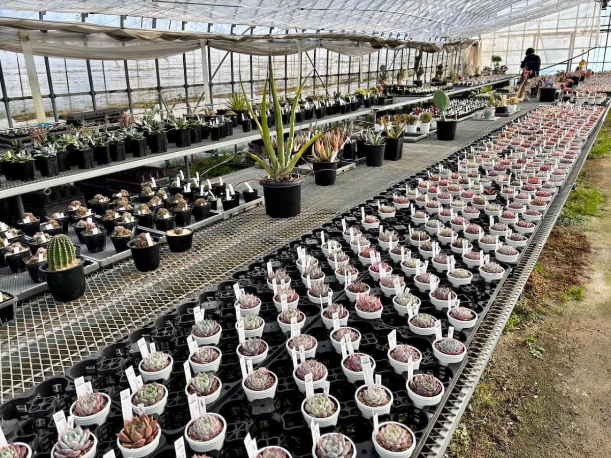 出雲市平田町の『飯塚農園』の内観