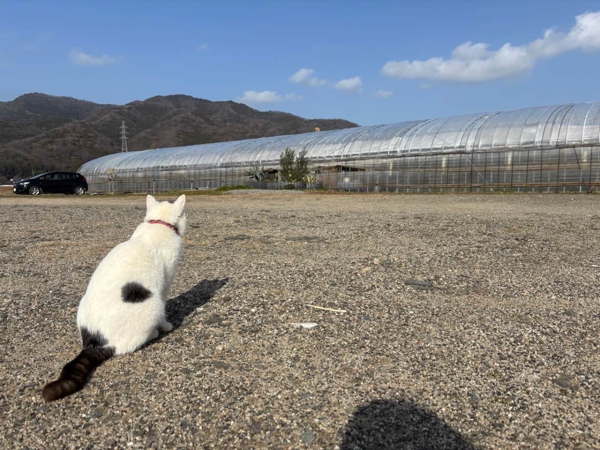 出雲市平田町の『飯塚農園』の外観