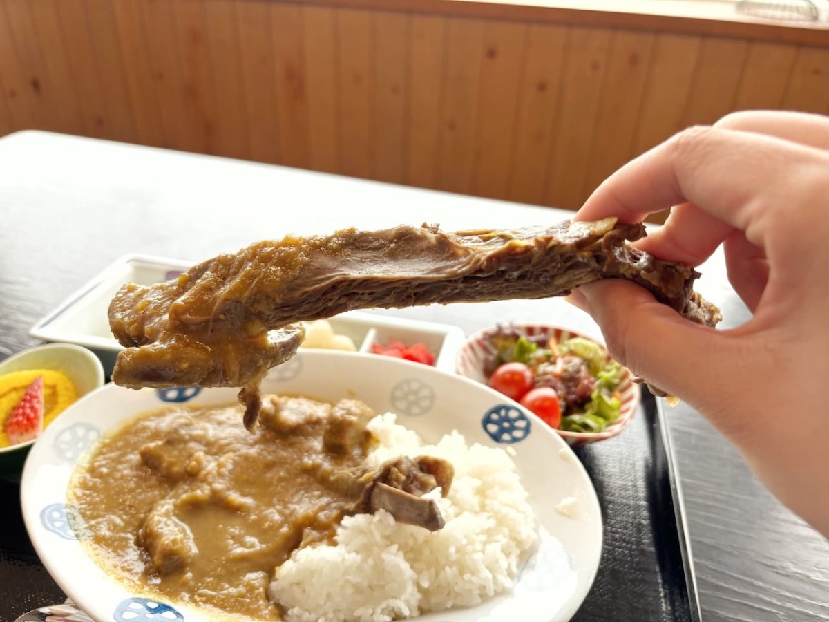 島根県邑智郡の『たまりば邑』の「華麗なルー定食」に入っているシカのスペアリブ。
