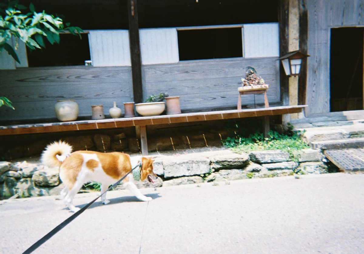 島根県大田市大森町の街並み