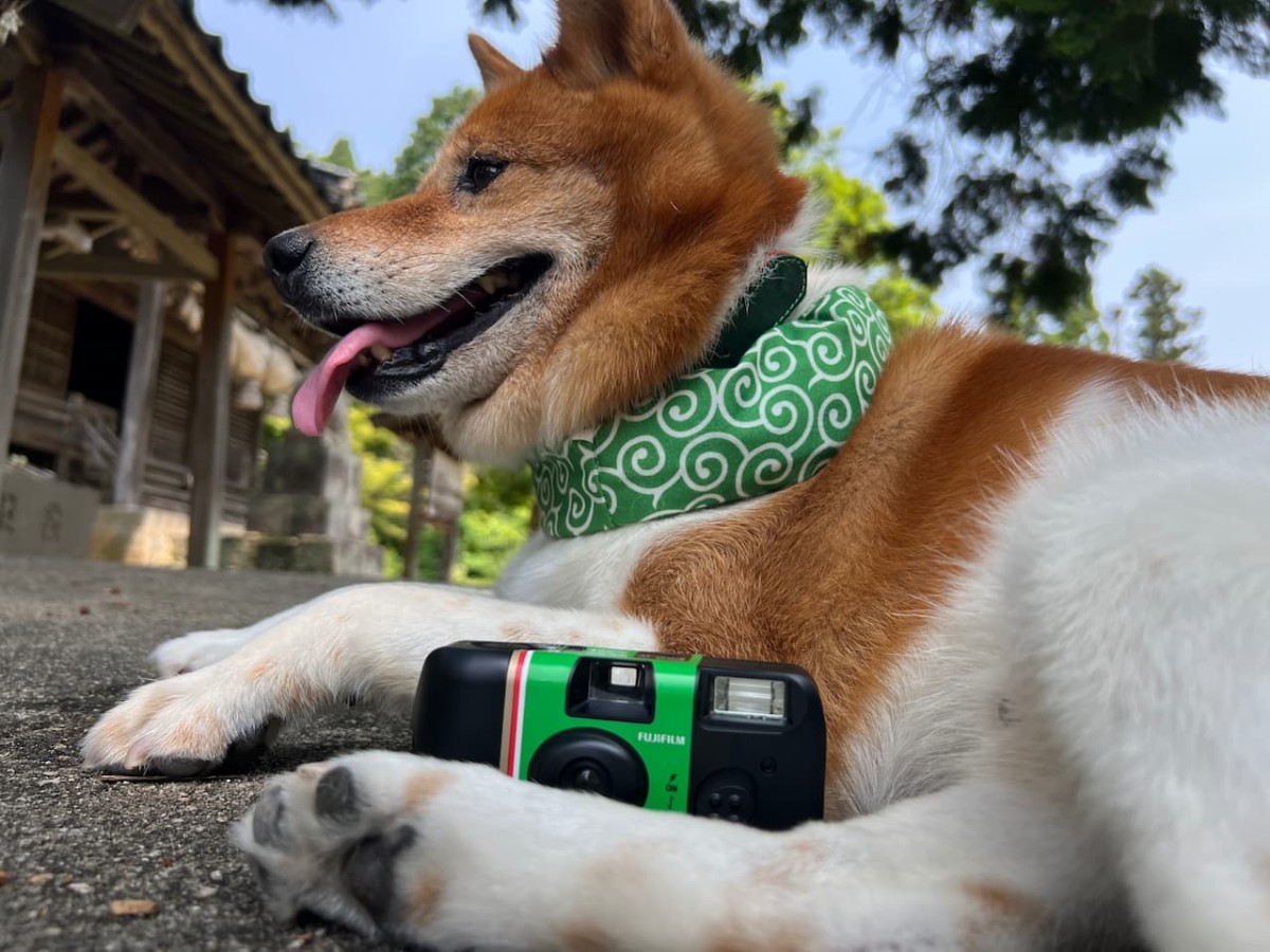 島根県大田市大森町にある城上神社