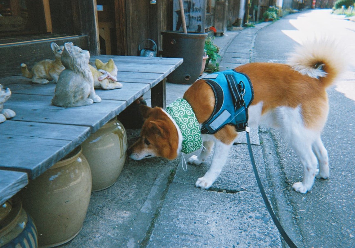 島根県大田市大森町の街並み