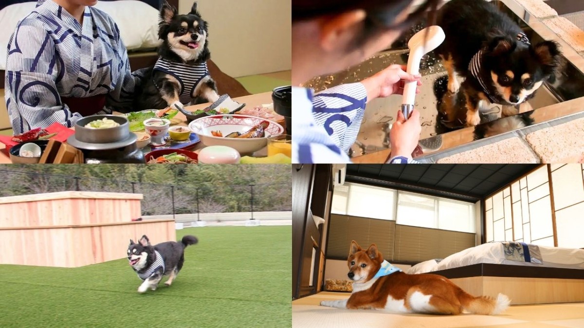 島根県出雲市にあるペット同伴OKの温泉旅館「四季荘」の内観