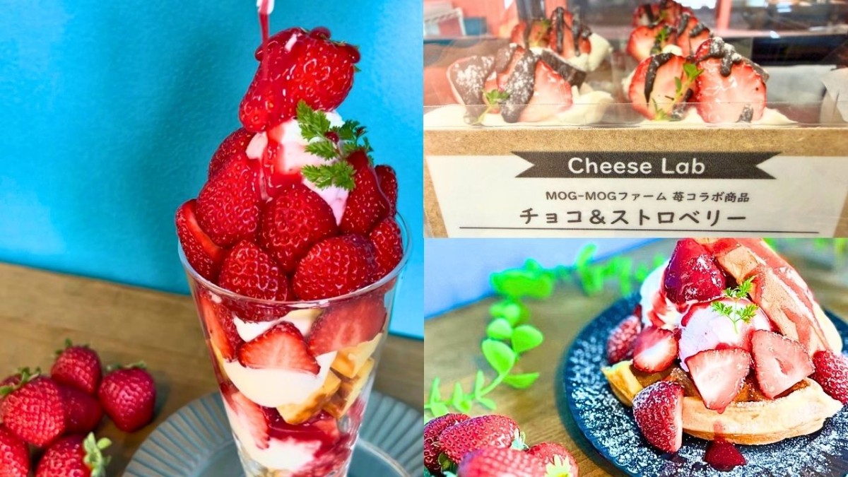 島根県浜田市にあるチーズケーキ専門店『cheese Lab』の期間限定商品