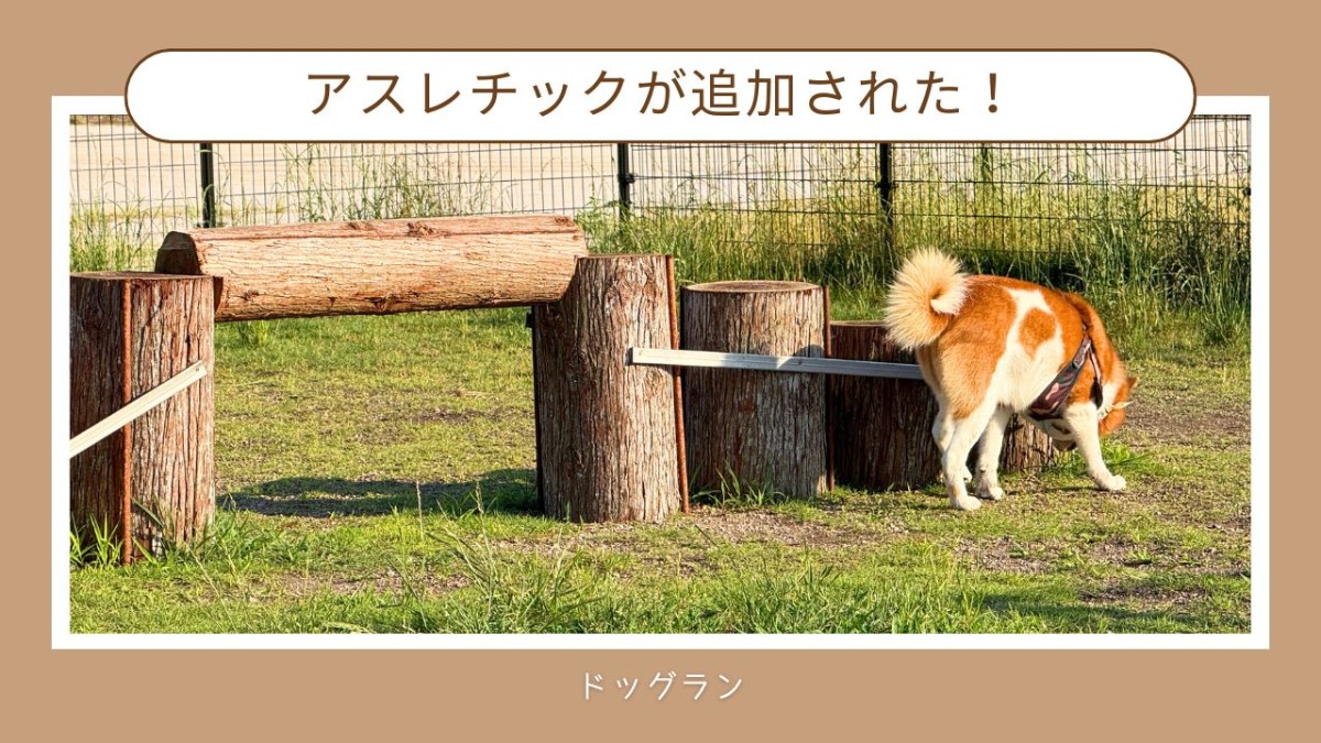 島根県大田市にある「ごいせ仁摩」のドッグラン