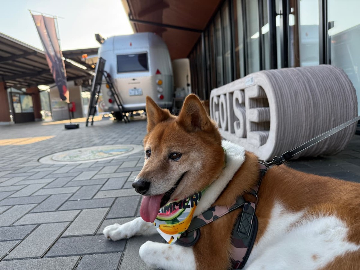 島根県大田市にある「ごいせ仁摩」の正面右横