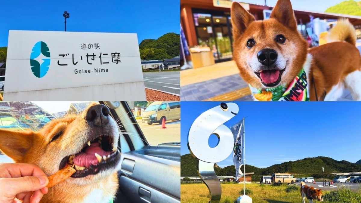 島根県大田市にある道の駅「ごいせ仁摩」の外観