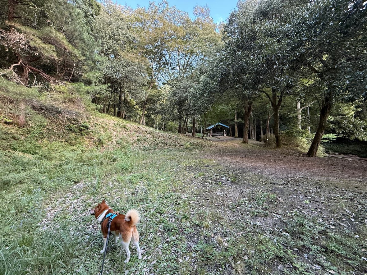 邑南町にある『深篠川キャンプ場」サイト