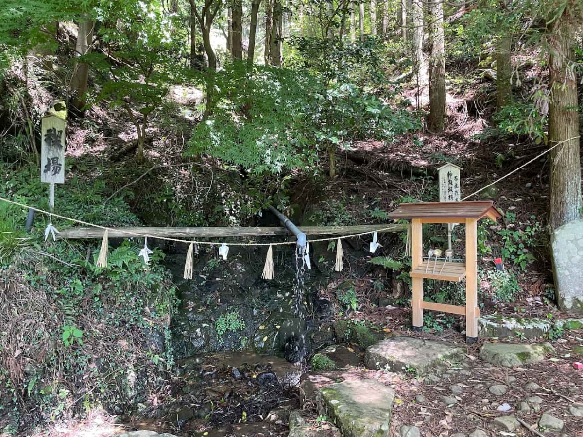 島根県雲南市大東町にある須我神社の奥宮の神泉坂根水