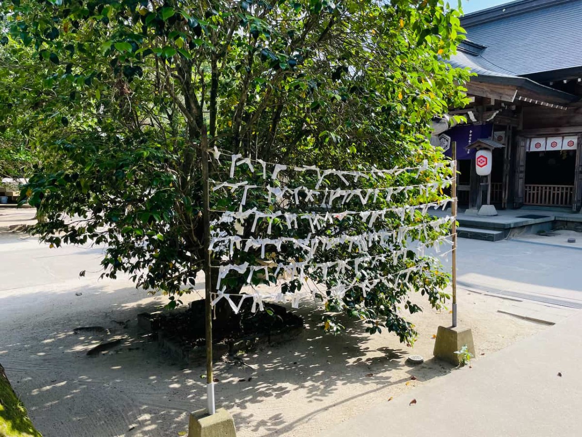 島根県松江市にある八重垣神社