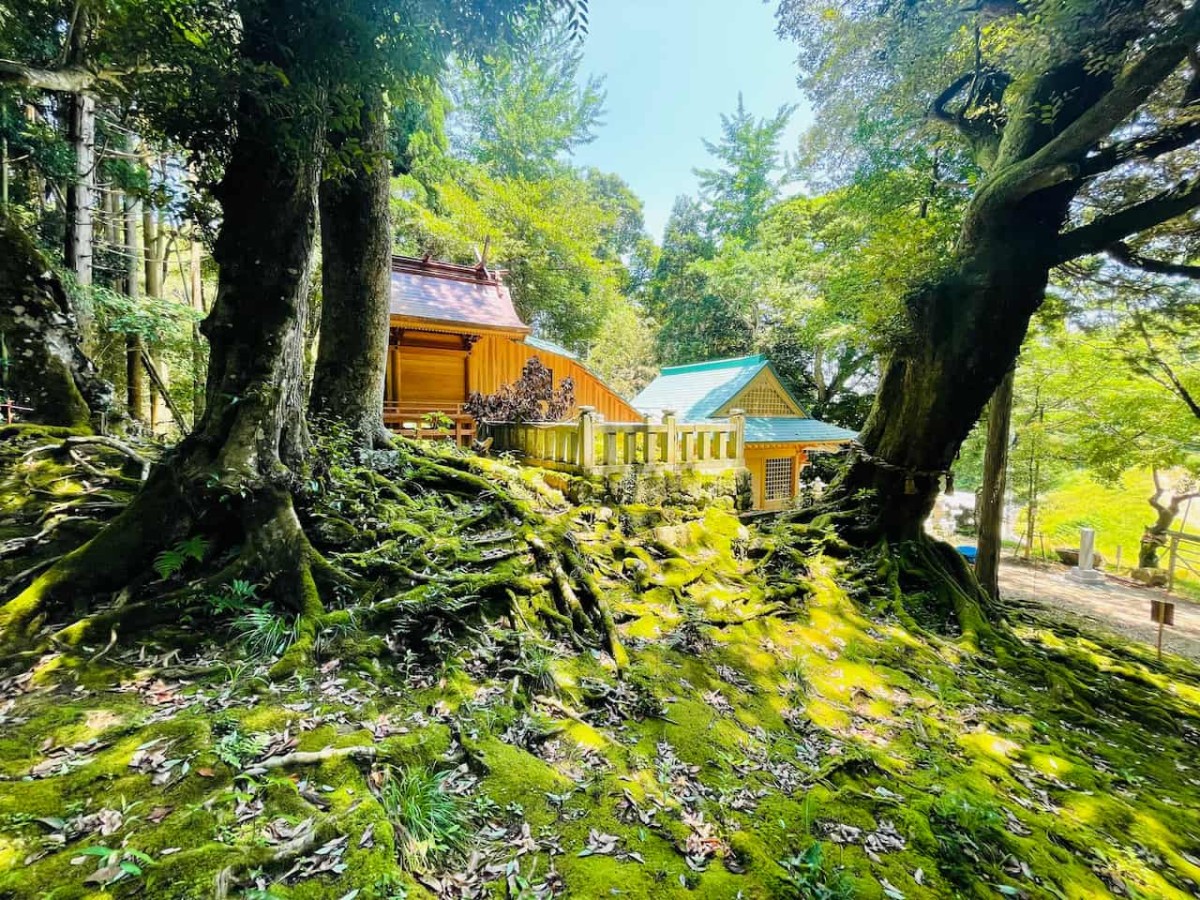 鳥取県西伯郡南部町にある赤猪岩神社