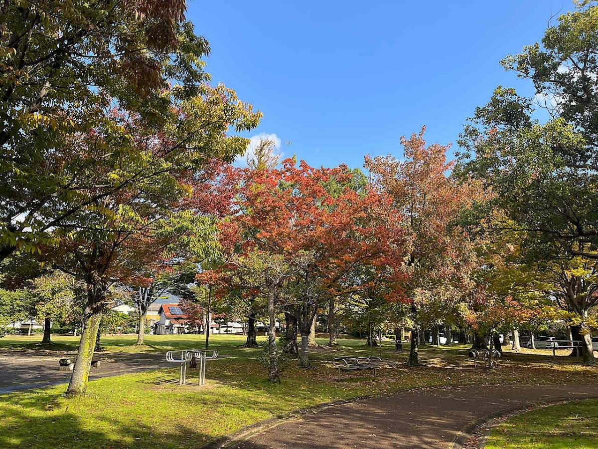島根県出雲市大津町にある『くすのき広場』の園内の様子