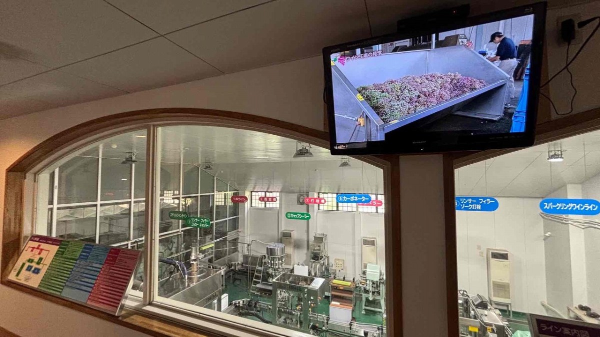 島根県出雲市大社町にある『島根ワイナリー』の見学通路