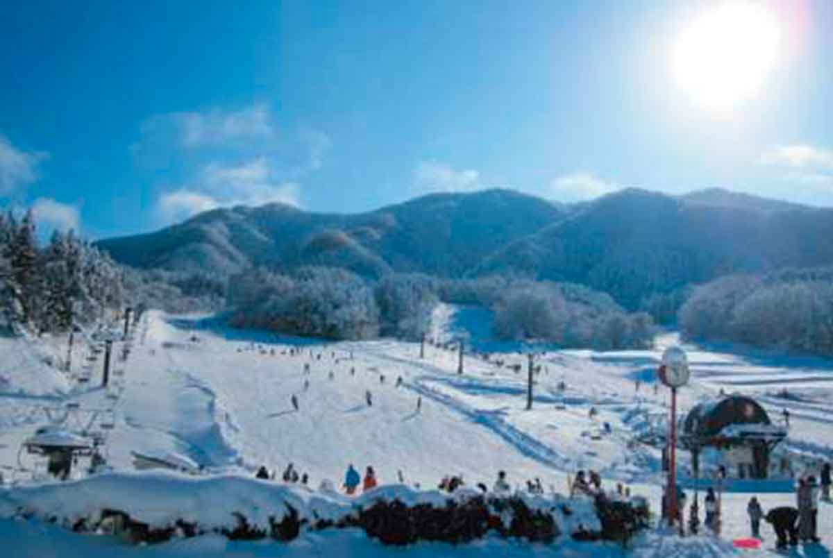 島根県飯南町にある子ども連れに人気のスキー場『琴引フォレストパークスキー場』のゲレンデ