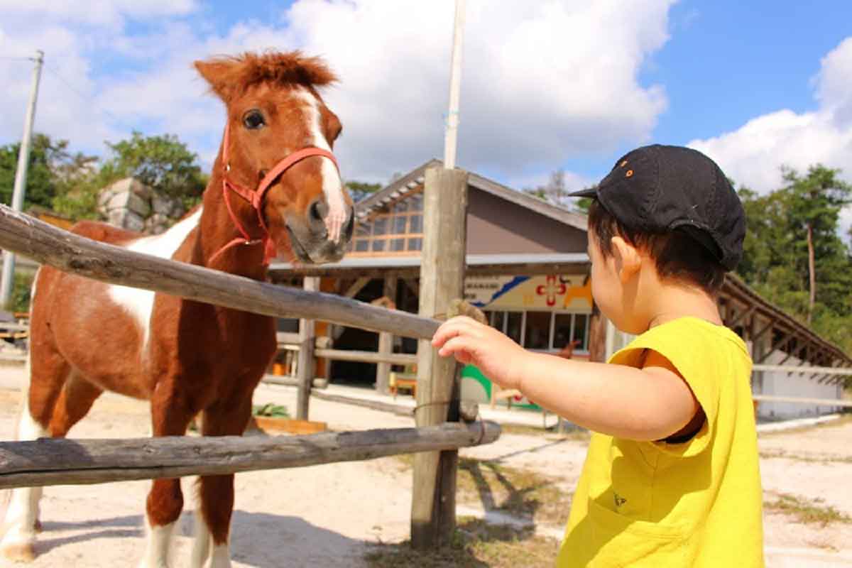 家族でお出かけ 雲南 奥出雲 飯南の夏の思い出作りスポット5選 目指せ地元遊びの達人 日刊lazuda ラズダ 島根 鳥取を知る 見る 食べる 遊ぶ 暮らすwebマガジン