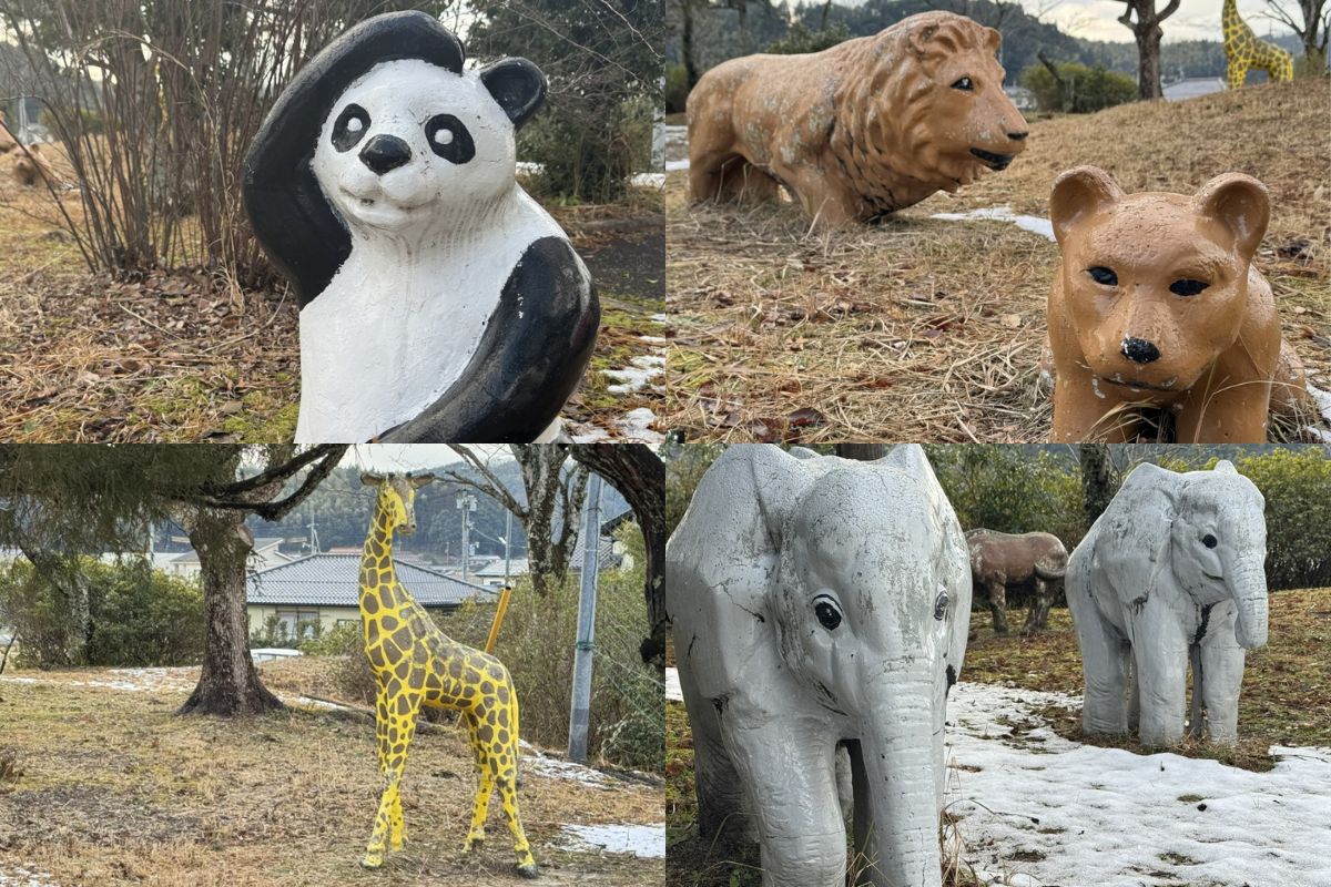 画像がありません