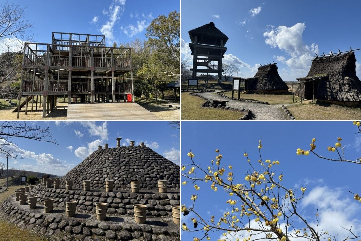 画像がありません