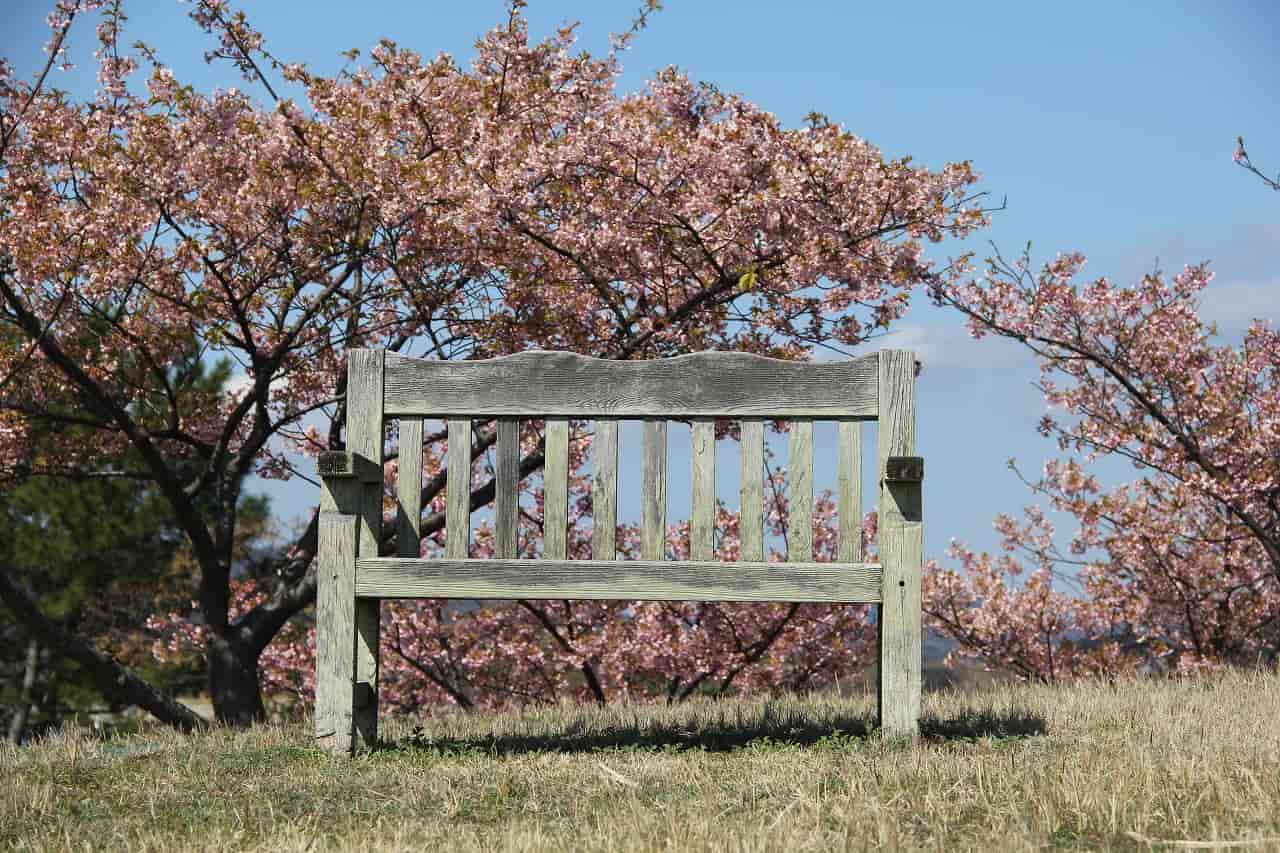 画像がありません