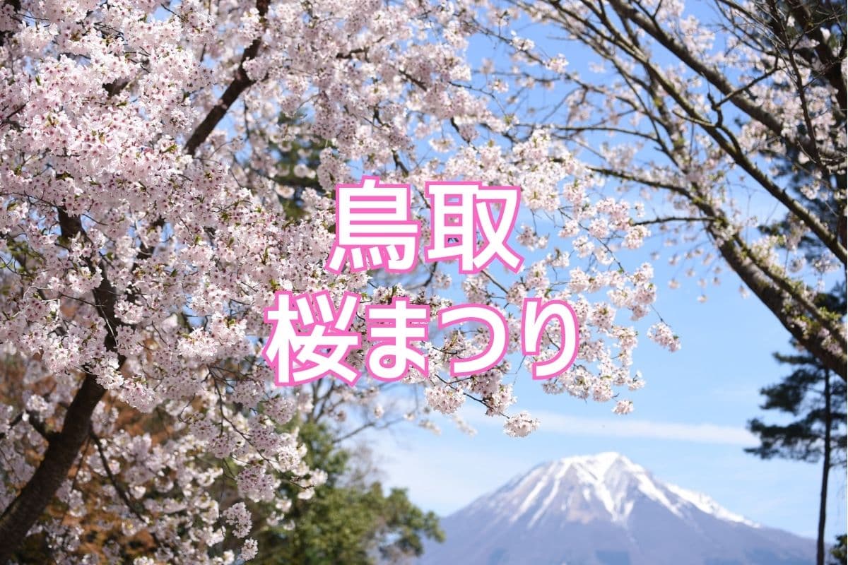 画像がありません