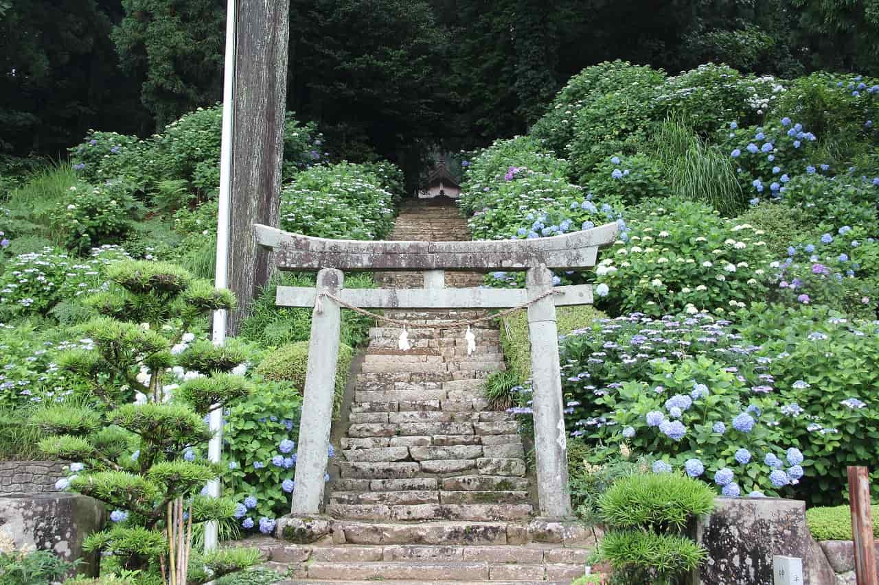 画像がありません