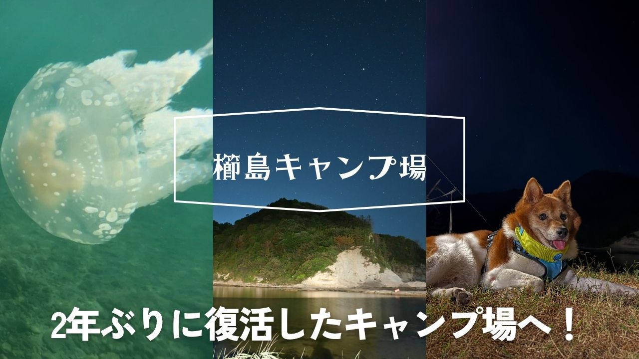 画像がありません