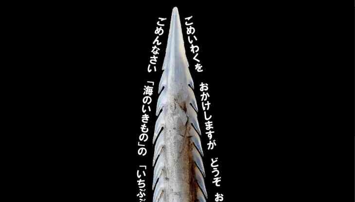 画像がありません
