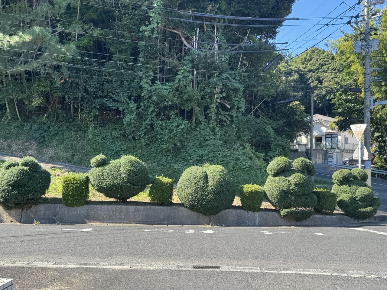 画像がありません